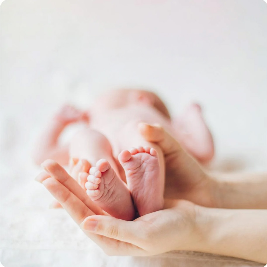 Relationship & Family Counselling